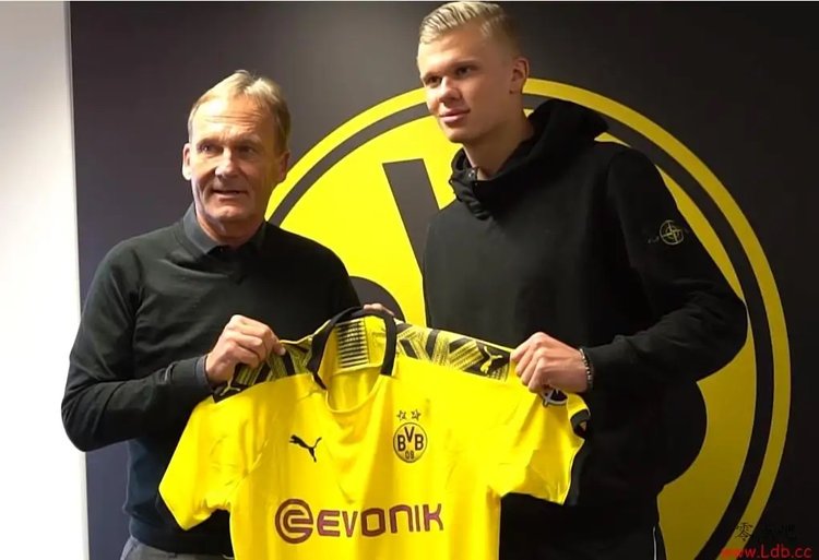 尹鸿博：明天是我生涯最后一场中超，因伤不得不做出退役选择（尹鸿博宣布因伤退役：明日将出战生涯最后一场中超）