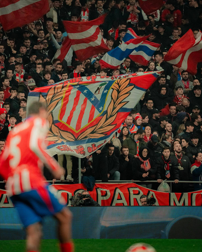 澳超半场：派珀破僵诺尔扳平，惠灵顿凤凰暂1-1中央海岸（澳超半场战报：派珀先拔头筹，诺尔扳平，惠灵顿凤凰暂与中央海岸1-1）